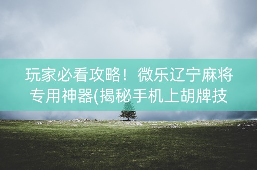 玩家必看攻略！微乐辽宁麻将专用神器(揭秘手机上胡牌技巧)