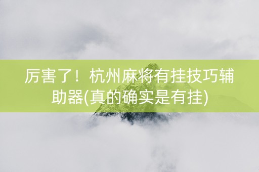 厉害了！杭州麻将有挂技巧辅助器(真的确实是有挂)