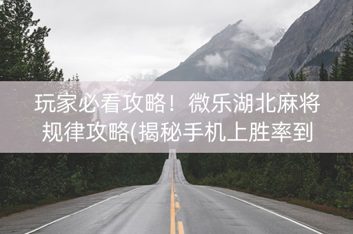 玩家必看攻略！微乐湖北麻将规律攻略(揭秘手机上胜率到哪调)