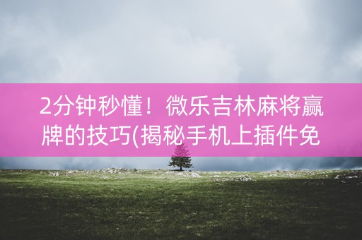 2分钟秒懂！微乐吉林麻将赢牌的技巧(揭秘手机上插件免费)