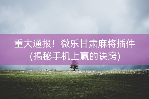 重大通报！微乐甘肃麻将插件(揭秘手机上赢的诀窍)