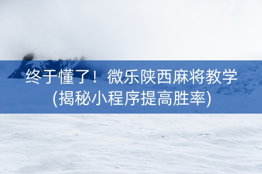 终于懂了！微乐陕西麻将教学(揭秘小程序提高胜率)