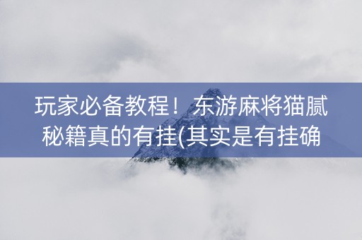 玩家必备教程！东游麻将猫腻秘籍真的有挂(其实是有挂确实有挂)