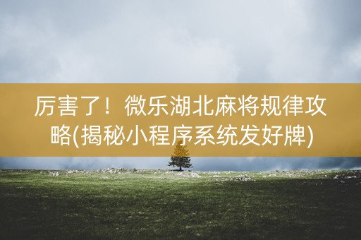 厉害了！微乐湖北麻将规律攻略(揭秘小程序系统发好牌)