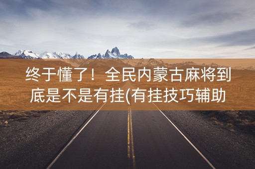 终于懂了！全民内蒙古麻将到底是不是有挂(有挂技巧辅助器)