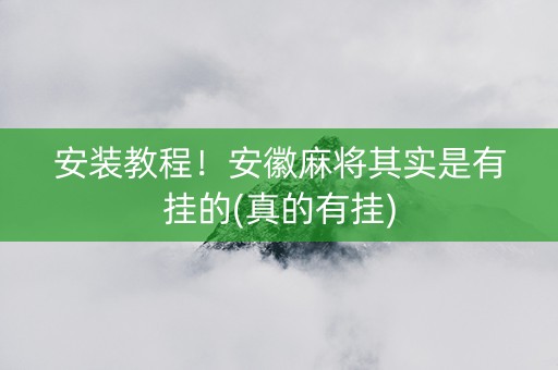 安装教程！安徽麻将其实是有挂的(真的有挂)