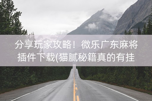分享玩家攻略！微乐广东麻将插件下载(猫腻秘籍真的有挂)