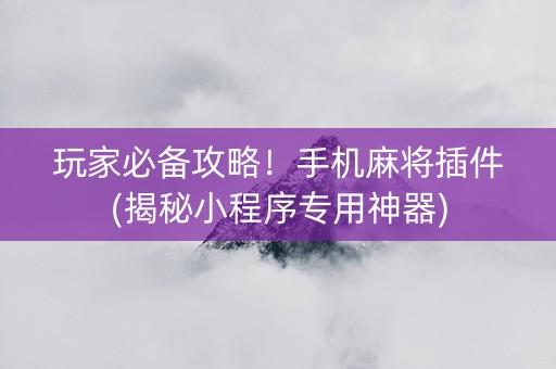 玩家必备攻略！手机麻将插件(揭秘小程序专用神器)