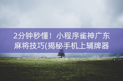 2分钟秒懂！小程序雀神广东麻将技巧(揭秘手机上辅牌器)