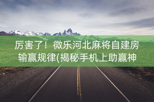 厉害了！微乐河北麻将自建房输赢规律(揭秘手机上助赢神器)