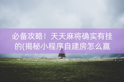 必备攻略！天天麻将确实有挂的(揭秘小程序自建房怎么赢)