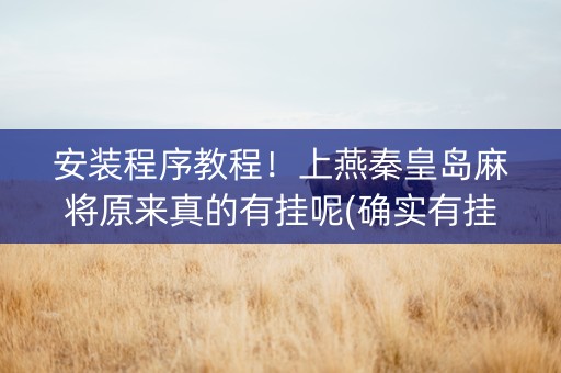 安装程序教程！上燕秦皇岛麻将原来真的有挂呢(确实有挂吗)