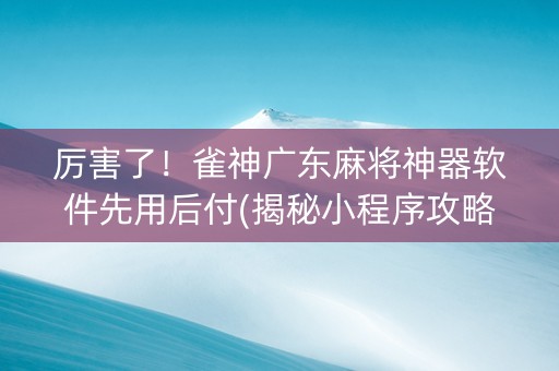 厉害了！雀神广东麻将神器软件先用后付(揭秘小程序攻略插件)
