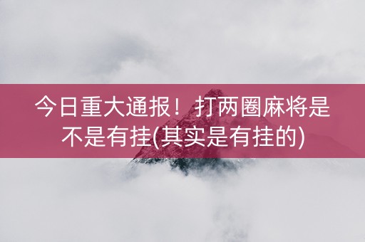 今日重大通报！打两圈麻将是不是有挂(其实是有挂的)