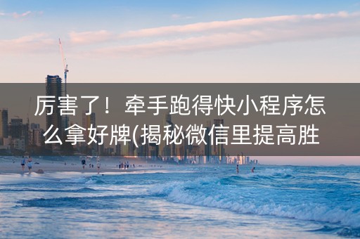 厉害了！牵手跑得快小程序怎么拿好牌(揭秘微信里提高胜率)