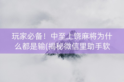 玩家必备！中至上饶麻将为什么都是输(揭秘微信里助手软件)