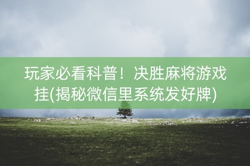 玩家必看科普！决胜麻将游戏挂(揭秘微信里系统发好牌)