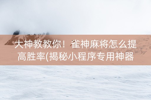 大神教教你！雀神麻将怎么提高胜率(揭秘小程序专用神器下载)