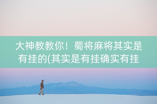 大神教教你！蜀将麻将其实是有挂的(其实是有挂确实有挂)