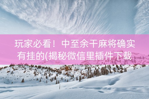 玩家必看！中至余干麻将确实有挂的(揭秘微信里插件下载)