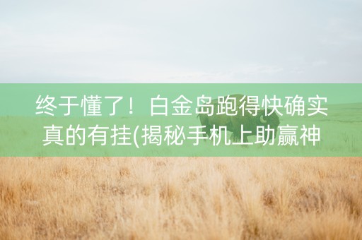 终于懂了！白金岛跑得快确实真的有挂(揭秘手机上助赢神器)