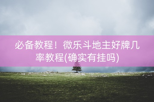 必备教程！微乐斗地主好牌几率教程(确实有挂吗)
