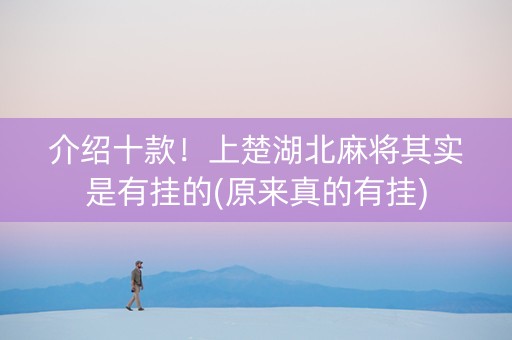 介绍十款！上楚湖北麻将其实是有挂的(原来真的有挂)