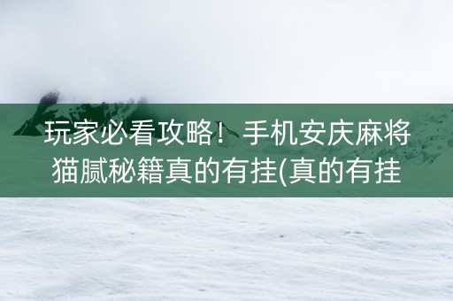 玩家必看攻略！手机安庆麻将猫腻秘籍真的有挂(真的有挂确实有挂)