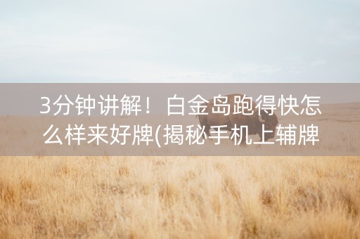 3分钟讲解！白金岛跑得快怎么样来好牌(揭秘手机上辅牌器)