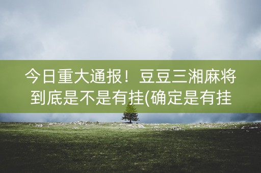 今日重大通报！豆豆三湘麻将到底是不是有挂(确定是有挂)