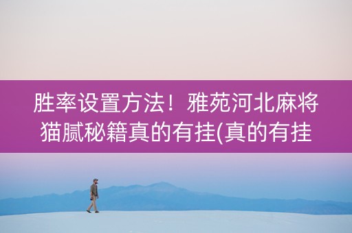 胜率设置方法！雅苑河北麻将猫腻秘籍真的有挂(真的有挂)