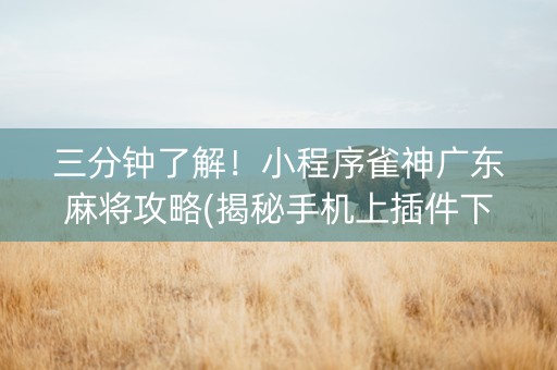 三分钟了解！小程序雀神广东麻将攻略(揭秘手机上插件下载)