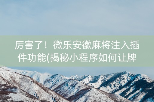 厉害了！微乐安徽麻将注入插件功能(揭秘小程序如何让牌变好)
