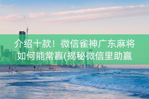 介绍十款！微信雀神广东麻将如何能常赢(揭秘微信里助赢神器)