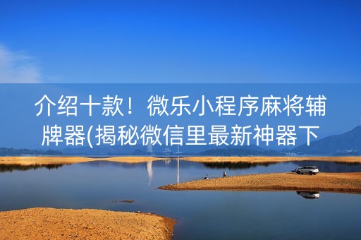 介绍十款！微乐小程序麻将辅牌器(揭秘微信里最新神器下载)