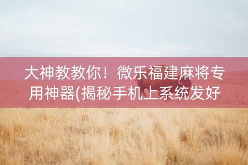 大神教教你！微乐福建麻将专用神器(揭秘手机上系统发好牌)