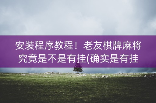 安装程序教程！老友棋牌麻将究竟是不是有挂(确实是有挂的)