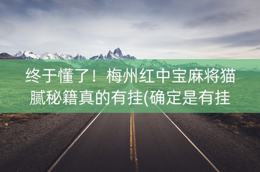 终于懂了！梅州红中宝麻将猫腻秘籍真的有挂(确定是有挂)