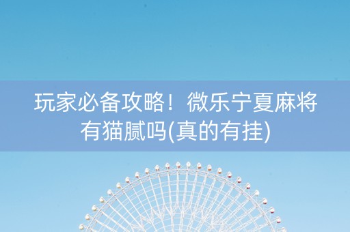 玩家必备攻略！微乐宁夏麻将有猫腻吗(真的有挂)