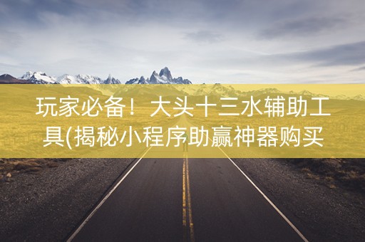 玩家必备！大头十三水辅助工具(揭秘小程序助赢神器购买)
