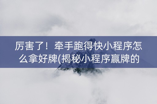 厉害了！牵手跑得快小程序怎么拿好牌(揭秘小程序赢牌的技巧)