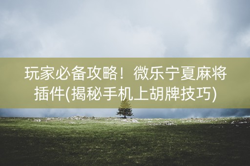 玩家必备攻略！微乐宁夏麻将插件(揭秘手机上胡牌技巧)