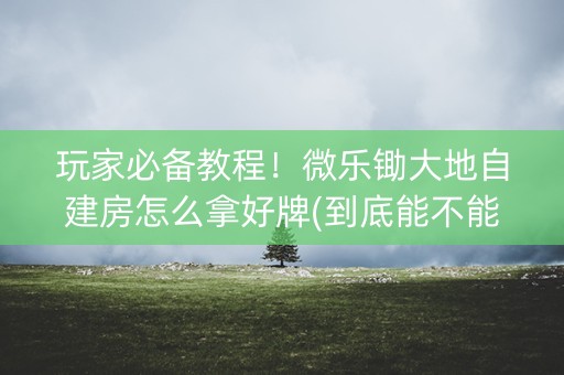 玩家必备教程！微乐锄大地自建房怎么拿好牌(到底能不能开挂)