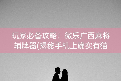 玩家必备攻略！微乐广西麻将辅牌器(揭秘手机上确实有猫腻)