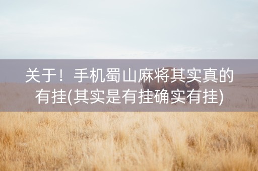 关于！手机蜀山麻将其实真的有挂(其实是有挂确实有挂)