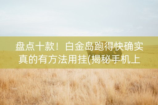 盘点十款！白金岛跑得快确实真的有方法用挂(揭秘手机上胜率到哪调)