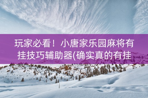 玩家必看！小唐家乐园麻将有挂技巧辅助器(确实真的有挂)