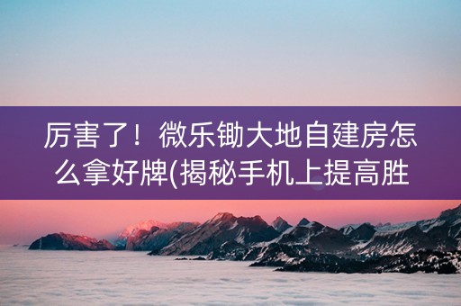 厉害了！微乐锄大地自建房怎么拿好牌(揭秘手机上提高胜率)