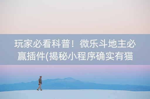 玩家必看科普！微乐斗地主必赢插件(揭秘小程序确实有猫腻)