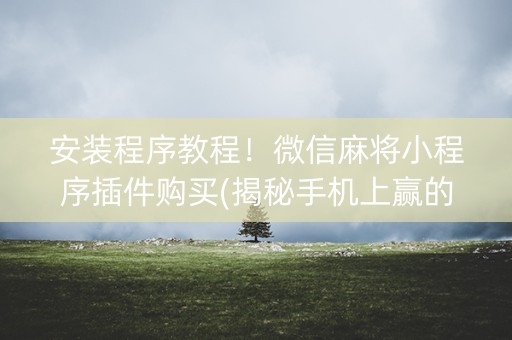 安装程序教程！微信麻将小程序插件购买(揭秘手机上赢的秘诀)